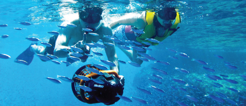 Snorkel Tour and Sea Adventure in Cabos